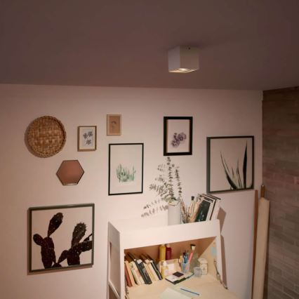 Philips - Spot LED dimmable LED/4,5W/230V