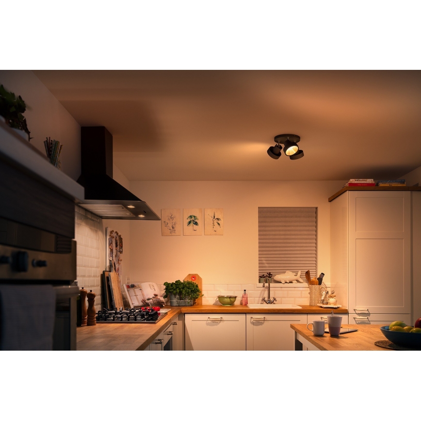 Philips 50603/30/P0 - Dimbare LED Spot BUKKO 3xLED/4,3W/230V