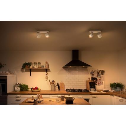 Philips - Dimbare LED Spot 2xLED/4.5W/230V
