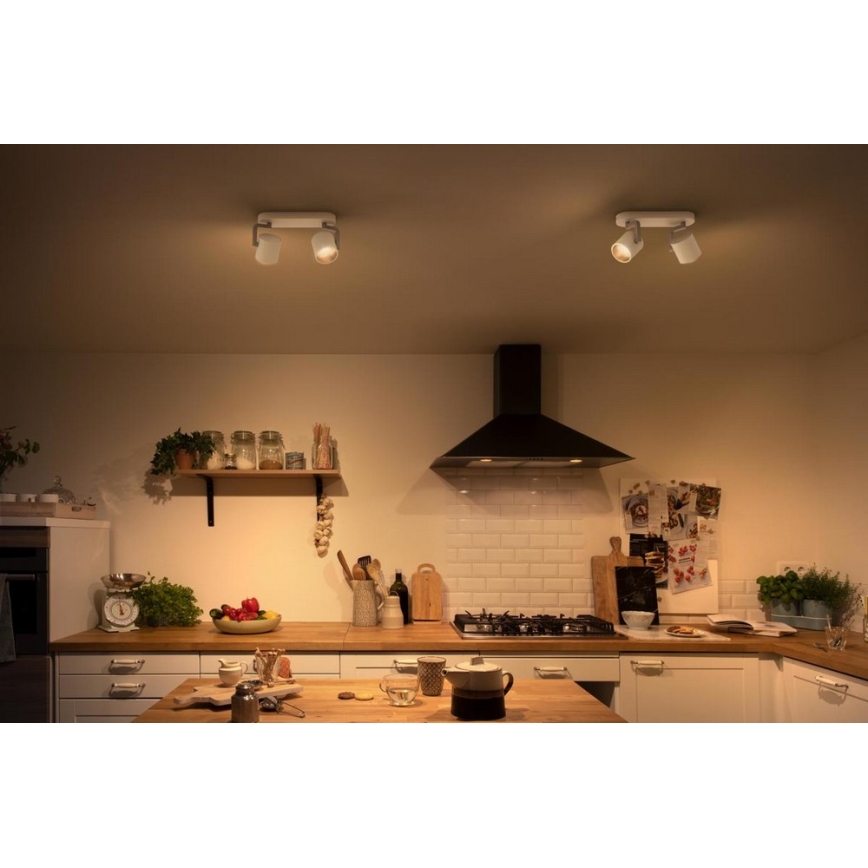 Philips - Spot à intensité variable LED 2xLED/4.5W/230V