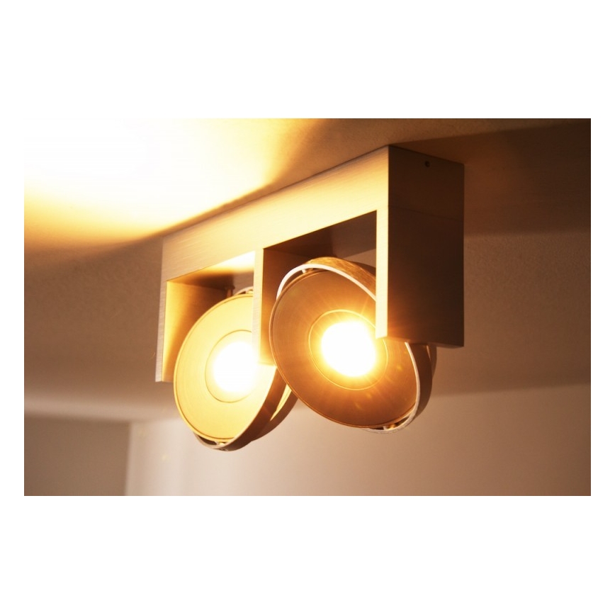 Philips 53152/48/16 - LED Spotlamp PARTICON 2xLED/7,5W