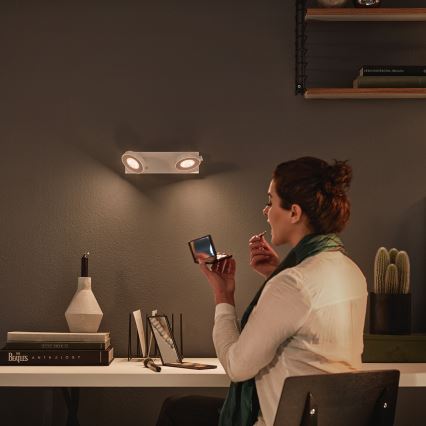 Philips 53172/31/P0 - Spot à intensité modulable MYLIVING CLOCKWORK 2xLED/4,5W