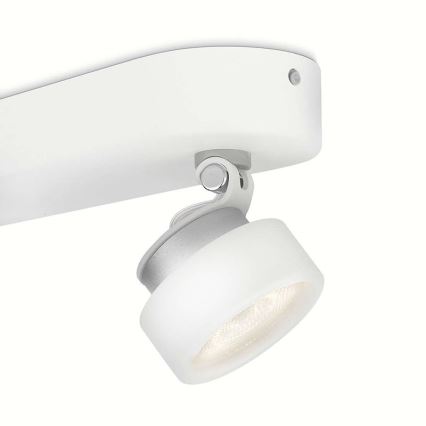 Philips 53272/31/16 - LED Spotlamp RIMUS 2xLED/3W/230V