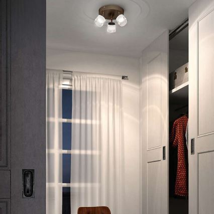 Philips - LED-spot 3xLED/4W/230V