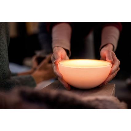 Philips 71460/60/PH - lampe de table à intensité modulable HUE GO 1xLED/6W/RGB