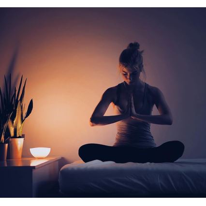 Philips 71460/60/PH - lampe de table à intensité modulable HUE GO 1xLED/6W/RGB
