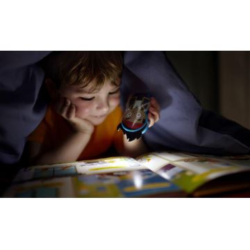 Philips 71767/05/16 - LED Kinder zaklamp DISNEY JAKE PIRATE 1xLED/0,3W/2xAAA