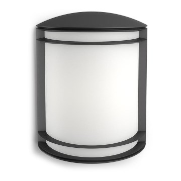 Philips - Applique murale d'extérieur LED/6W/230V IP44