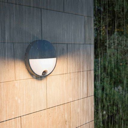 Philips - Applique murale LED d'extérieur avec détecteur CAPRICORN LED/4,3W/230V IP44
