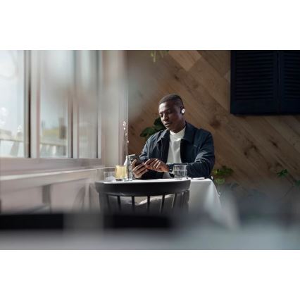 Philips Fidelio T1WT/00 - Draadloze hoofdtelefoons IPX4 2x 60 mAh + 650 mAh zilver