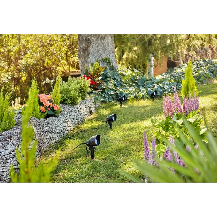 Philips - LED Buiten spotlight LED/6W/12V 4000K IP44