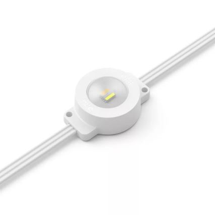 Philips - Guirlande lumineuse d'extérieur LED RGBW dimmable Hue FESTAVIA 32xLED 18m 1000-20000K IP65