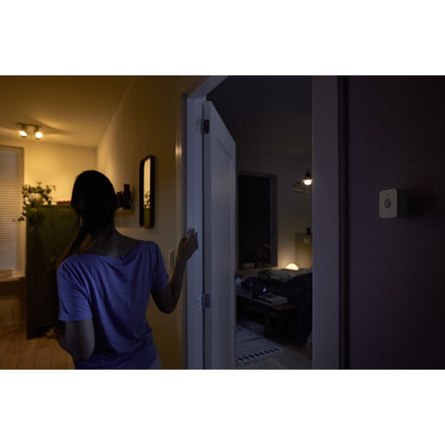 Philips Hue bewegingssensor 2xAAA IP42