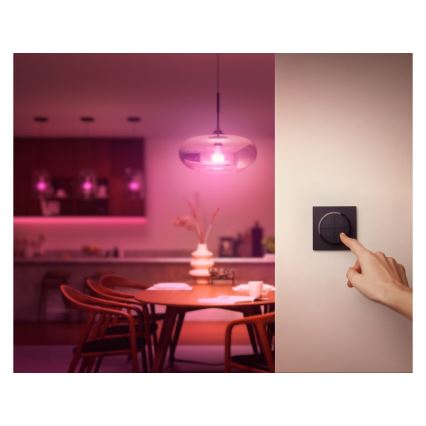 Philips - Afstandsbediening met schakelaar Hue TAP 1xCR2032 zwart