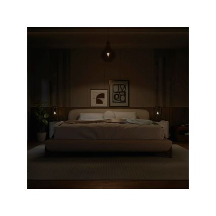 Philips Hue White dimbare LED-lamp B39 E14/3,9W/230V 2700K