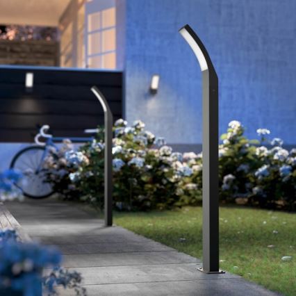 Philips - Lampadaire LED d'extérieur LED/12W/230V 4000K 96 cm IP44