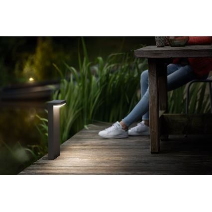 Philips - Lampe extérieure BUSTAN LED/3,8W/230V 2700K 40 cm IP44