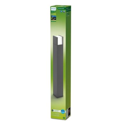 Philips - LED Buitenlamp ARBOUR LED/3,8W/230V 77 cm 2700K IP44