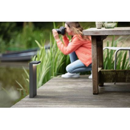 Philips - LED Buitenlamp BUSTAN LED/3,8W/230V 2700K 77 cm IP44