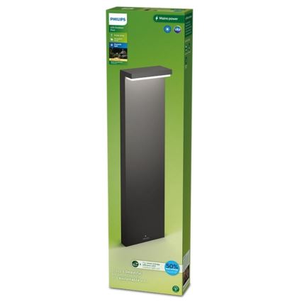 Philips - LED Buitenlamp BUSTAN LED/3,8W/230V 2700K 77 cm IP44