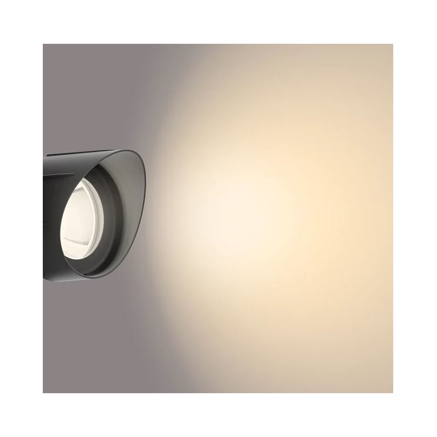 Philips - LED Buitenspot LED/24W/230V 2700K IP44