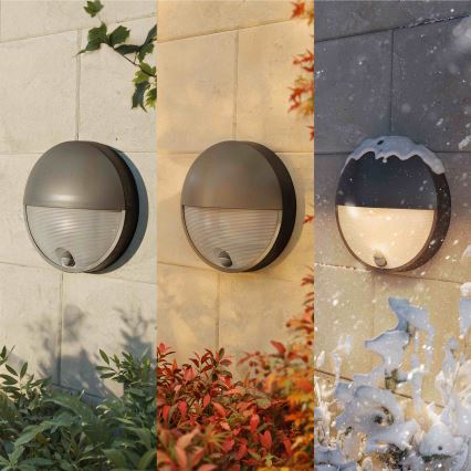 Philips - LED buitenwandlamp met sensor CAPRICORN LED/4,3W/230V IP44