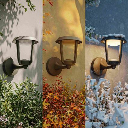Philips - LED buitenwandlamp NUVY LED/4,3W/230V 2700K IP44