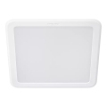 Philips - LED-inbouwarmatuur MESON LED/13W/230V 4000K 14x14 cm