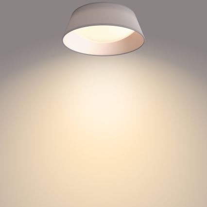 Philips - LED Plafond Lamp LED/14W/230V grijs