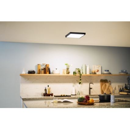 Philips - LED Plafond Lamp LED/20W/230V 2700K zwart