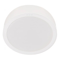 Philips - LED Plafondlamp MESON LED/24W/230V 3000K