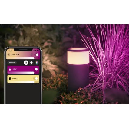 Philips - LED RGB Buitenlamp Hue CALLA LED/8W/230V IP65 met adapter