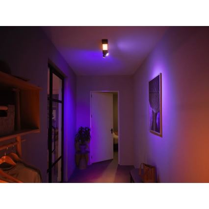Philips - LED RGBW Dimbare spot Hue CENTRIS 2xGU10/4,2W/230V + LED/11W 2000-6500K