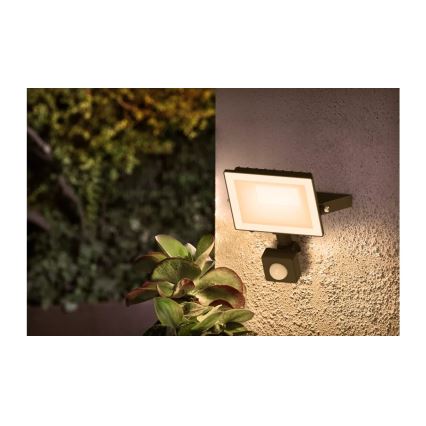 Philips - LED-schijnwerper met sensor LOIS LED/20W/230V IP65 3000K