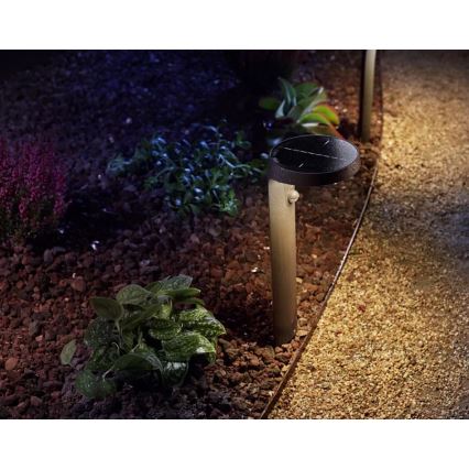 Philips - LED Solar lamp met sensor LED/1.2W/4V 3000K IP44