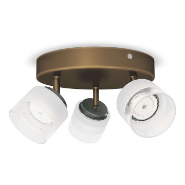 Philips - LED-spot 3xLED/4W/230V