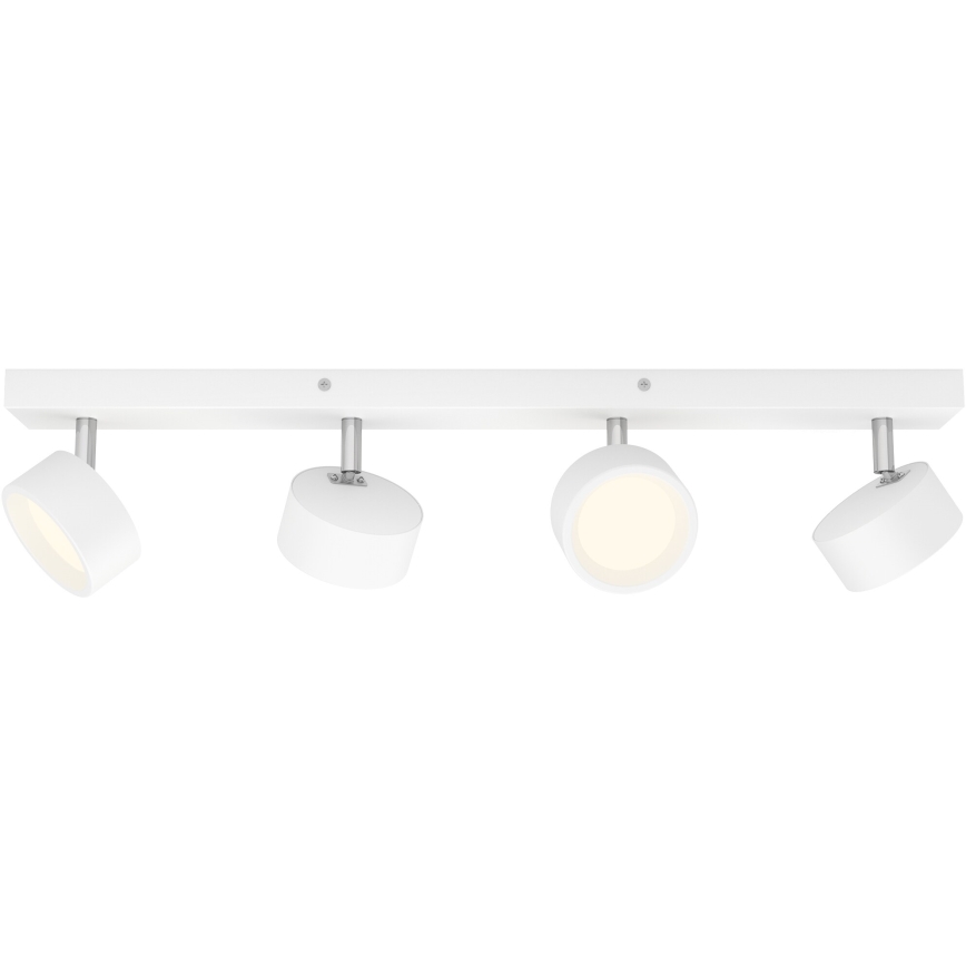 Philips - LED spot 4xLED/5,5W/230V wit