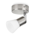 Philips - LED-spot LED/4,3W/230V