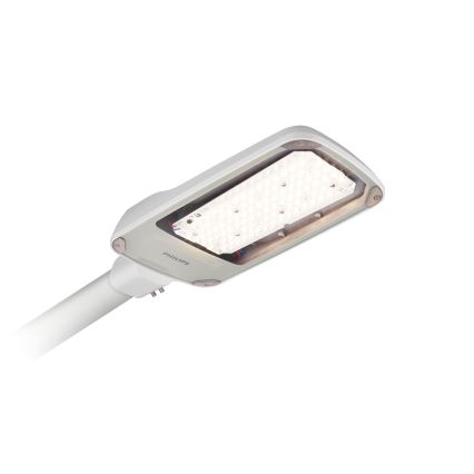 Philips - LED straatlamp CORELINE MALAGA LED/37W/230V 3000K IP65