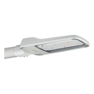 Philips - LED straatlamp CORELINE MALAGA LED/37W/230V 4000K IP65