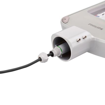 Philips - LED straatlamp CORELINE MALAGA LED/37W/230V 4000K IP65