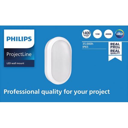 Philips - LED Wandlamp PROJECTLINE LED/15W/230V IP65