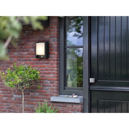 Philips - LED Wandlamp voor buiten met sensor ARBOUR LED/3,8W/230V 2700K IP44