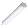 Philips - luminaire technique LEDINAIRE LED/15W/230V 60 cm IP66