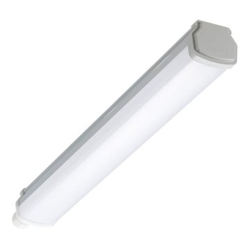 Philips - luminaire technique LEDINAIRE LED/15W/230V 60 cm IP66