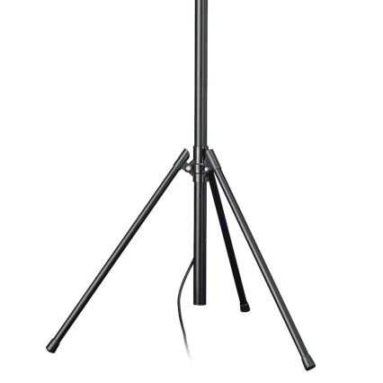 Philips Massive 74909/21/30 - Lampadaire FARO 1xR7s118/300W
