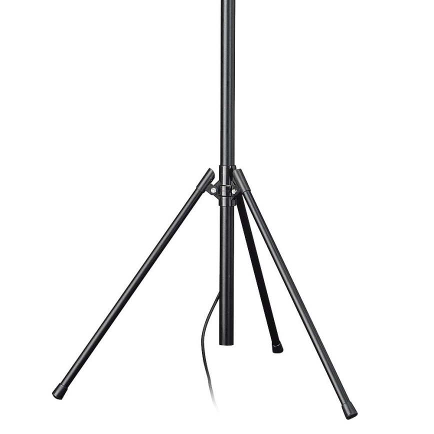 Philips Massive 74909/21/30 - Lampadaire FARO 1xR7s118/300W