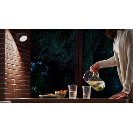 Philips - LED Buitenwandlamp LED/7W/230V 4000K IP44