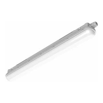 Philips Pila - LED-technische TL-armatuur LED/60W/230V 150 cm IP65