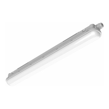 Philips Pila - Luminaire linéaire LED professionnel 40 W, 230 V, 120 cm, IP65